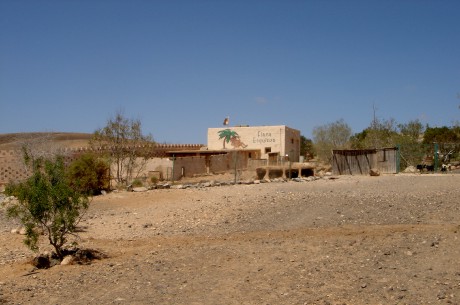 Finca Esquinzo - záchrana pro kanárské psy